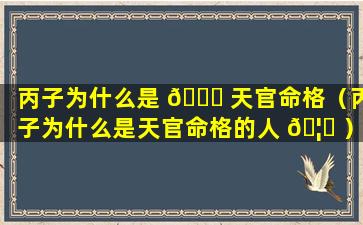 丙子为什么是 🐈 天官命格（丙子为什么是天官命格的人 🦈 ）